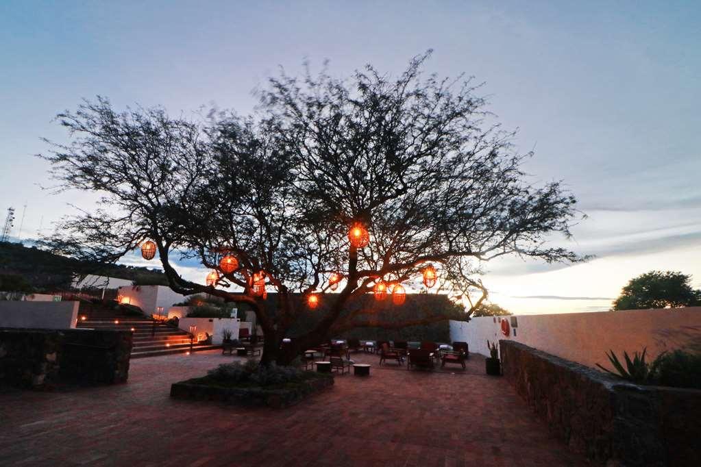 Albor San Miguel De Allende Tapestry Collection By Hilton Exteriör bild