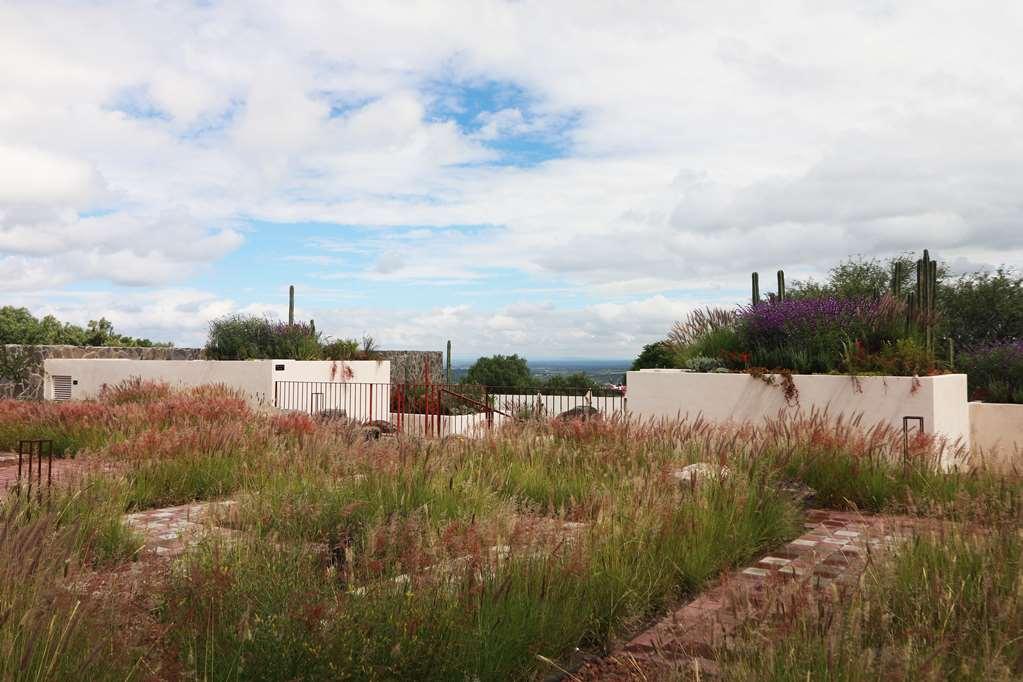 Albor San Miguel De Allende Tapestry Collection By Hilton Exteriör bild